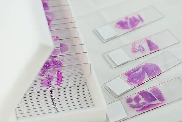 Cytologia