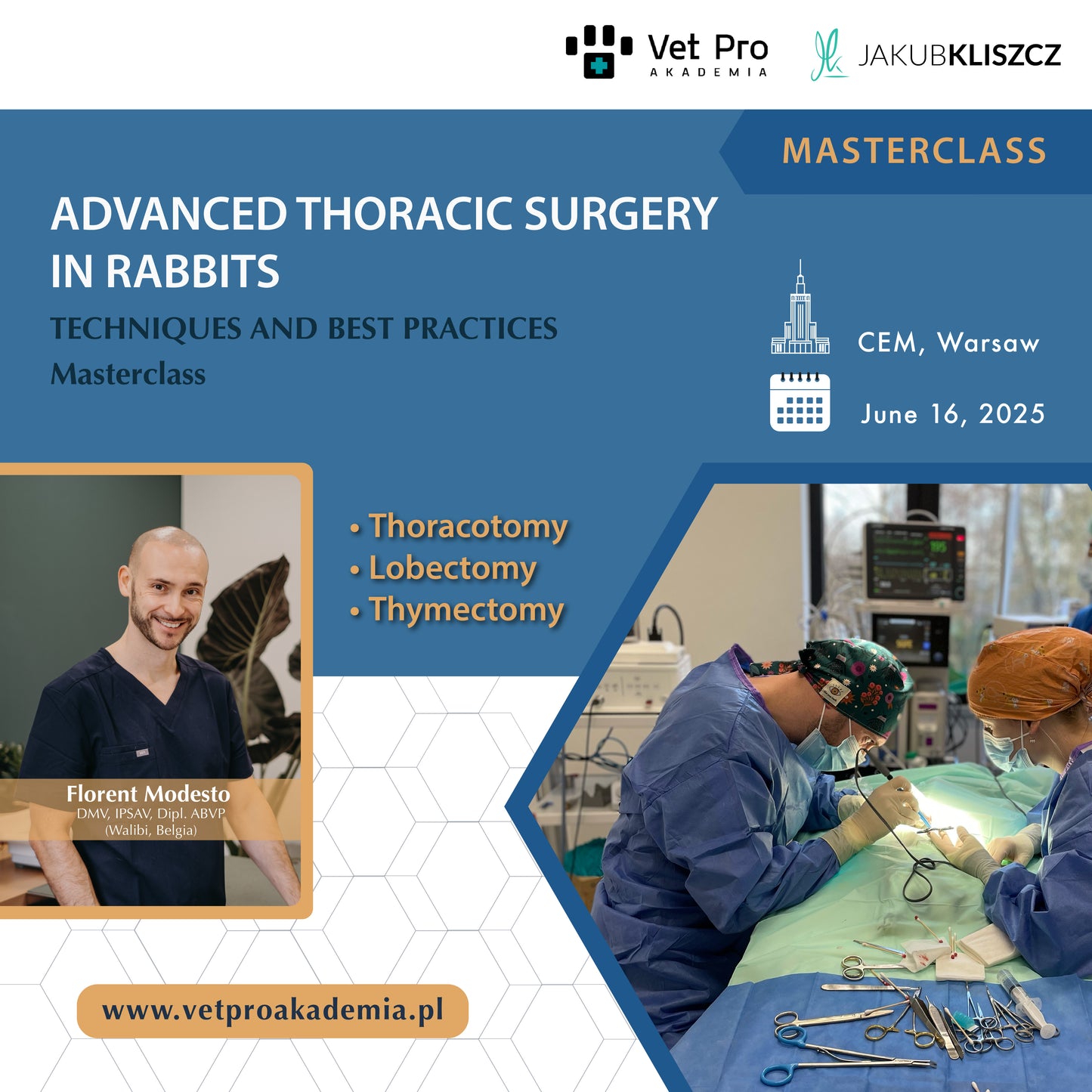 Advanced Thoracic Surgery in Rabbits: Surgical Techniques and Perioperative Period