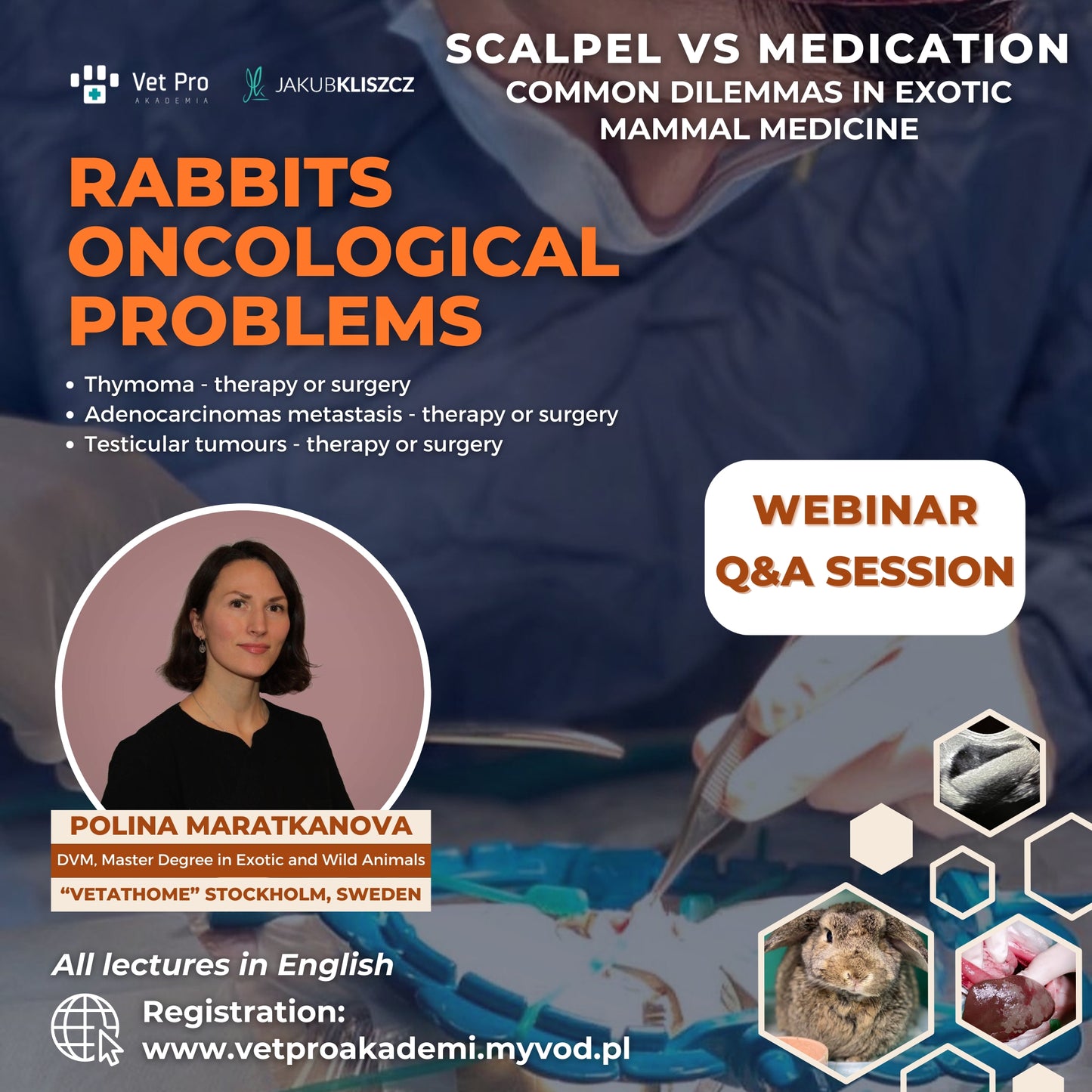 Scalpel vs Medication - Rabbits Oncological Problems
