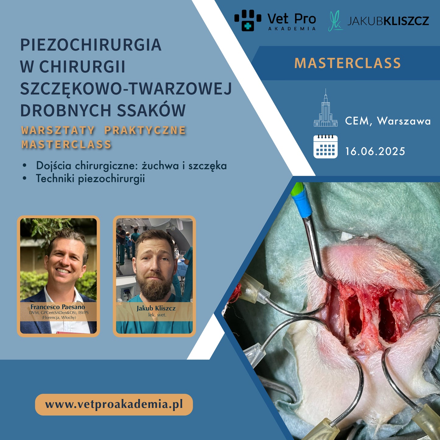 Piezochirurgia w Chirurgii Szczękowo-Twarzowej Drobnych Ssaków