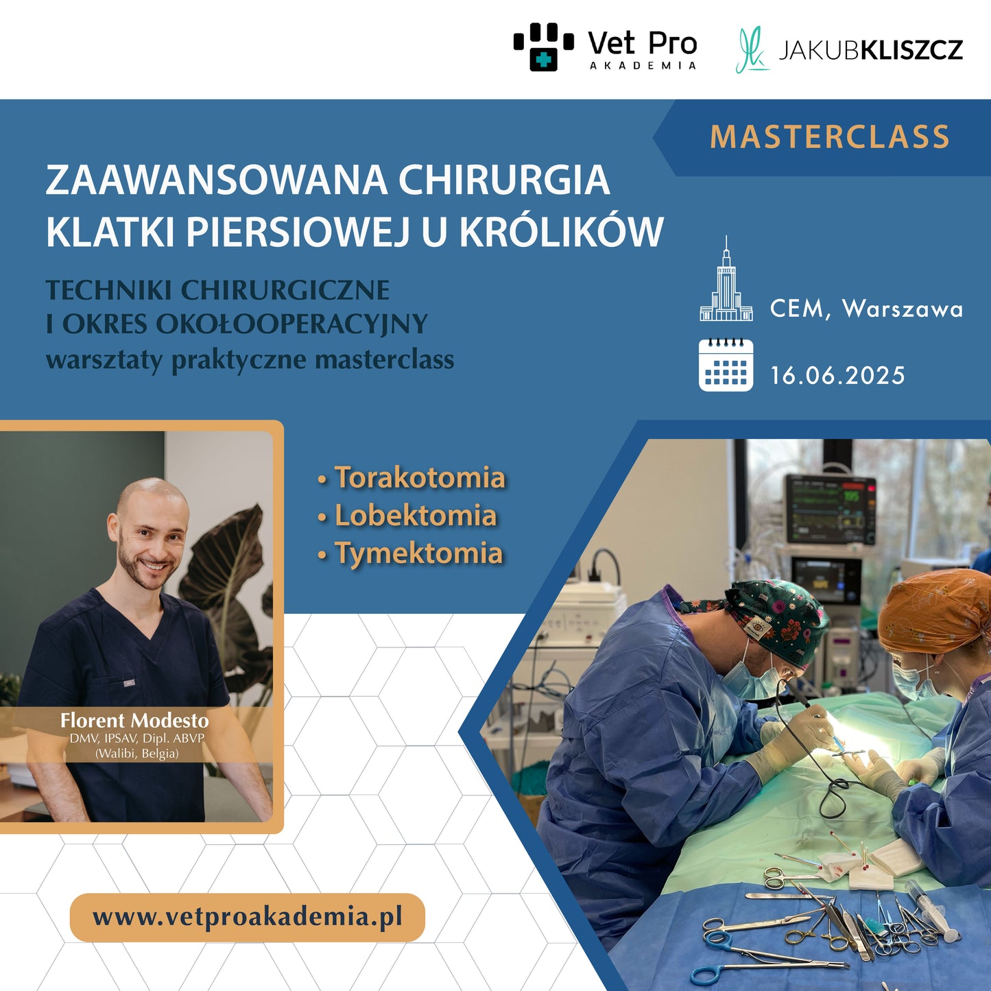 Advanced Thoracic Surgery in Rabbits: Surgical Techniques and Perioperative Period