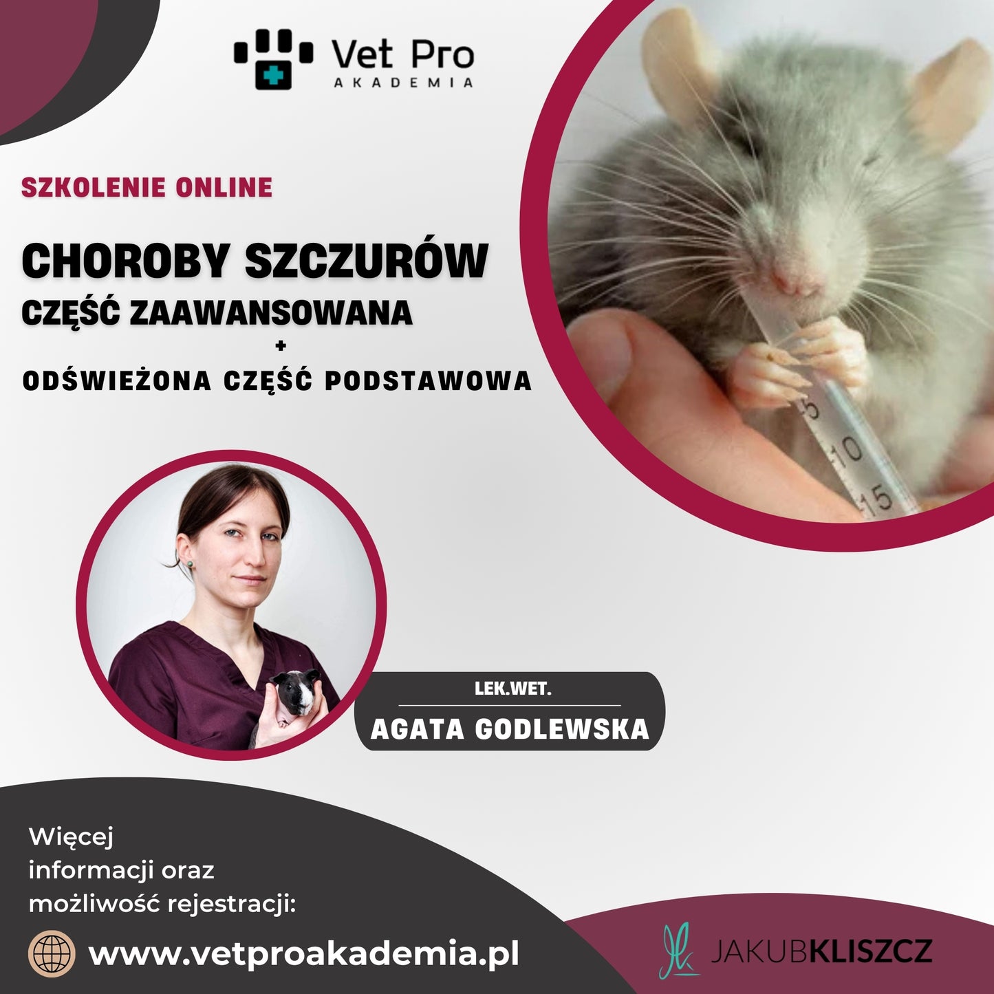 Choroby Szczurów - część zaawansowana
