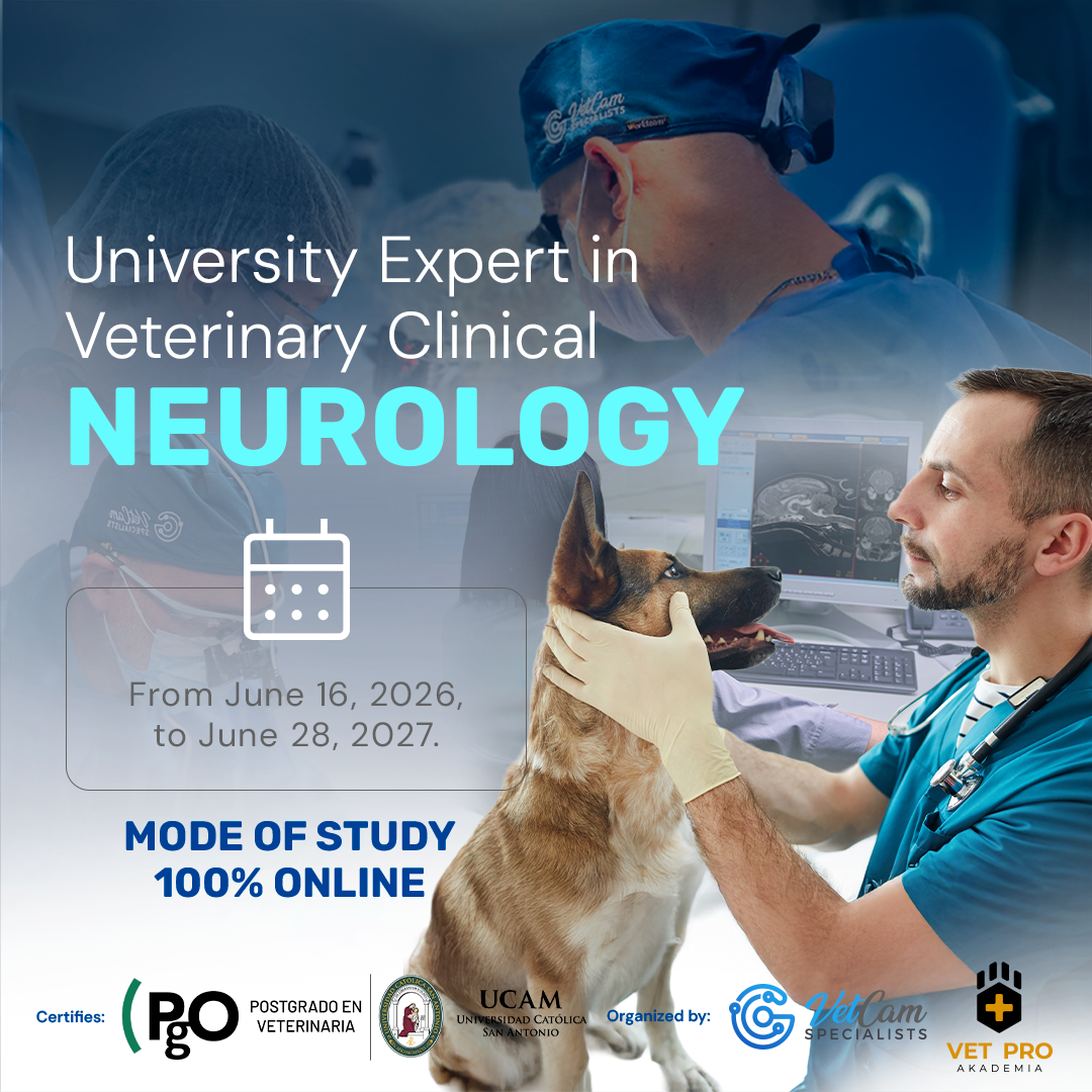 University Expert in Veterinary Clinical Neurology