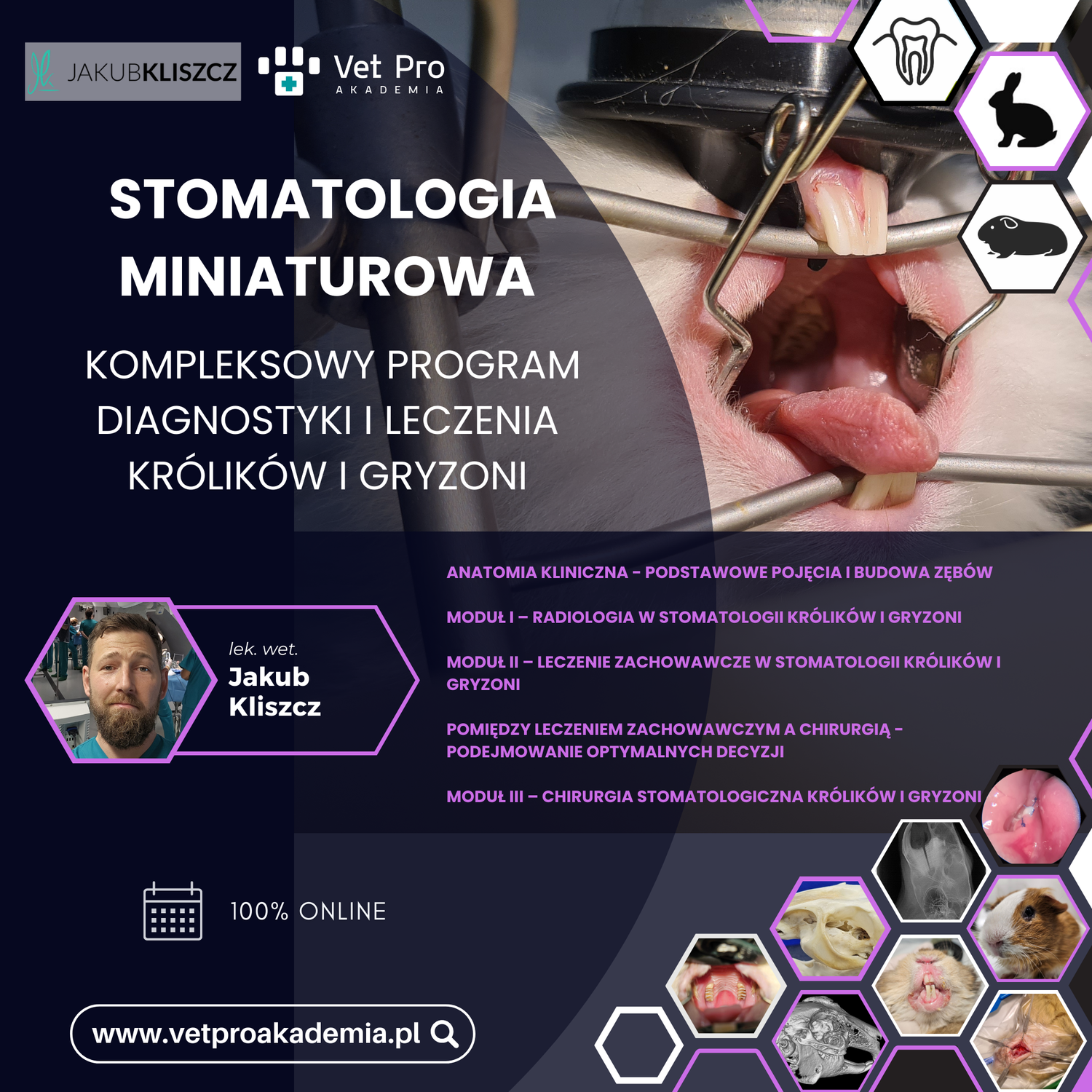 Stomatologia Miniaturowa