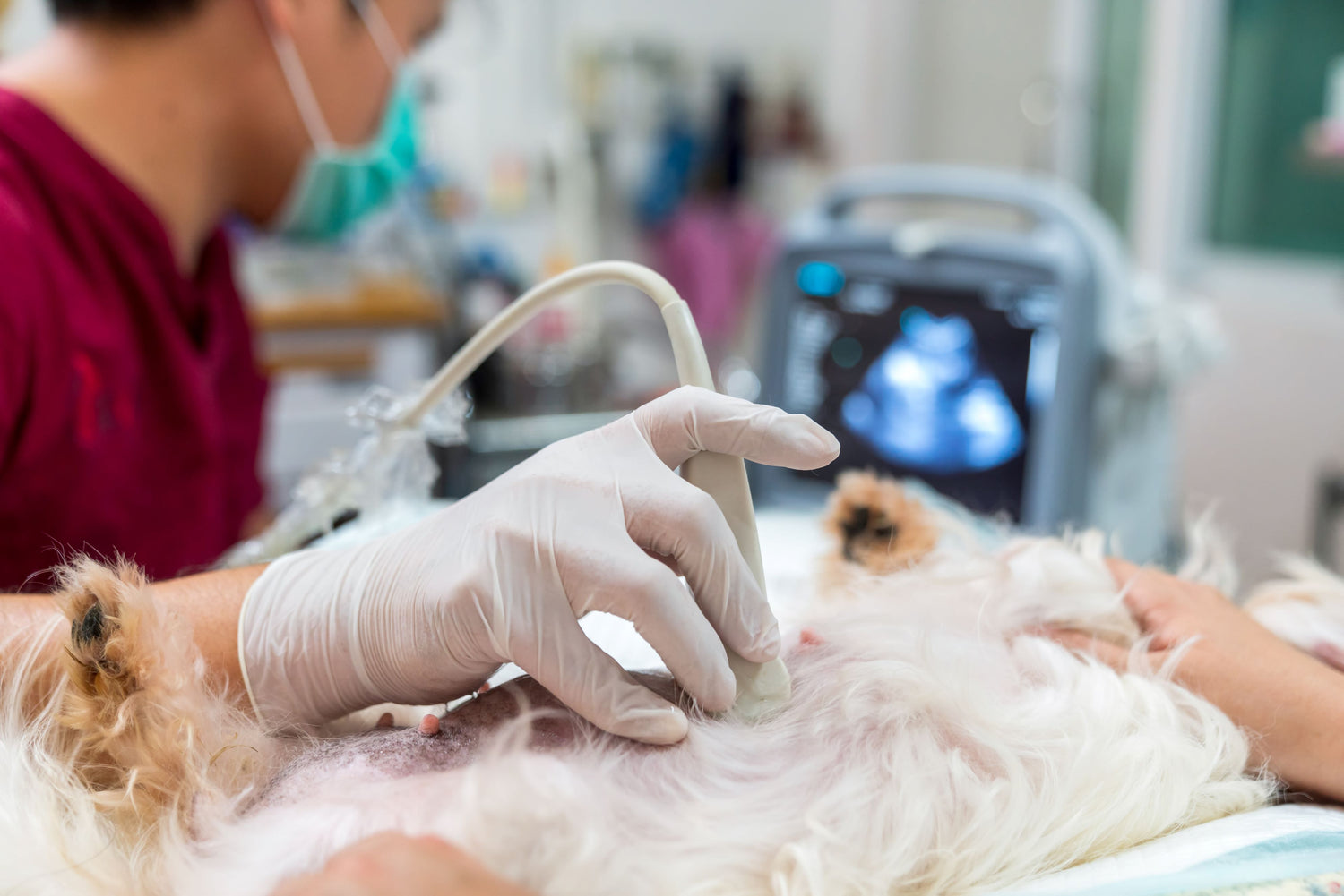 Ultrasonografia