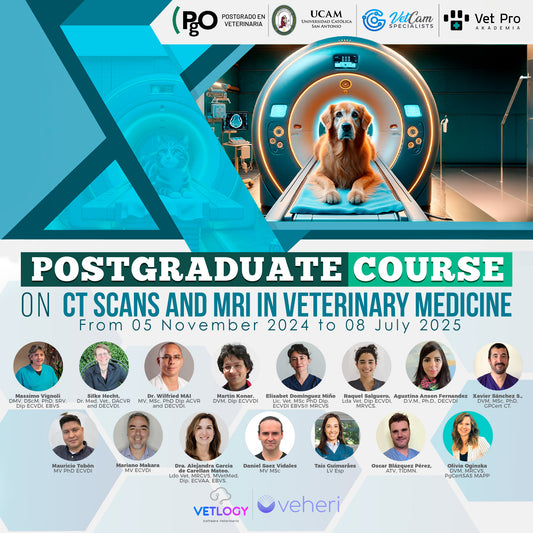 Postgraduate Course on CT Scans and MRI in veterinary medicine