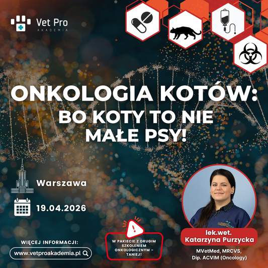 Onkologia Kotów: Bo Koty To Nie Małe Psy!