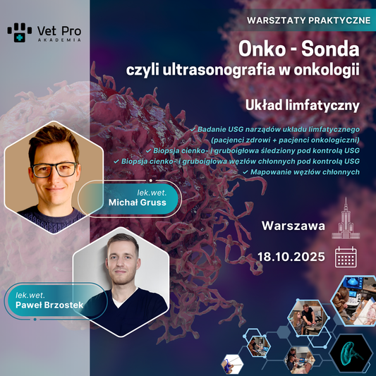 Onko - Sonda czyli ultrasonografia w onkologii - Układ limfatyczny