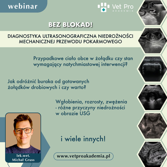 BEZ BLOKAD! Diagnostyka Ultrasonograficzna Niedrożności Mechanicznej Przewodu Pokarmowego