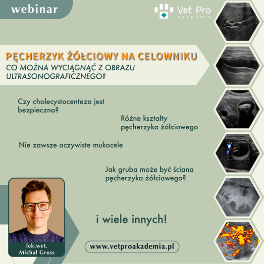 Pęcherzyk Żółciowy na Celowniku - Co Można Wyciągnąć z Obrazu Ultrasonograficznego?