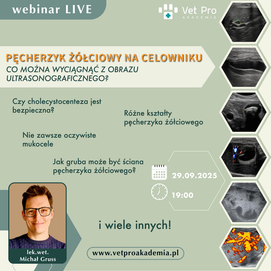 Pęcherzyk Żółciowy na Celowniku - Co Można Wyciągnąć z Obrazu Ultrasonograficznego?