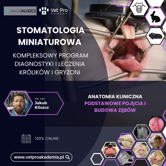 Anatomia Kliniczna - Podstawowe Pojęcia i Budowa Zębów