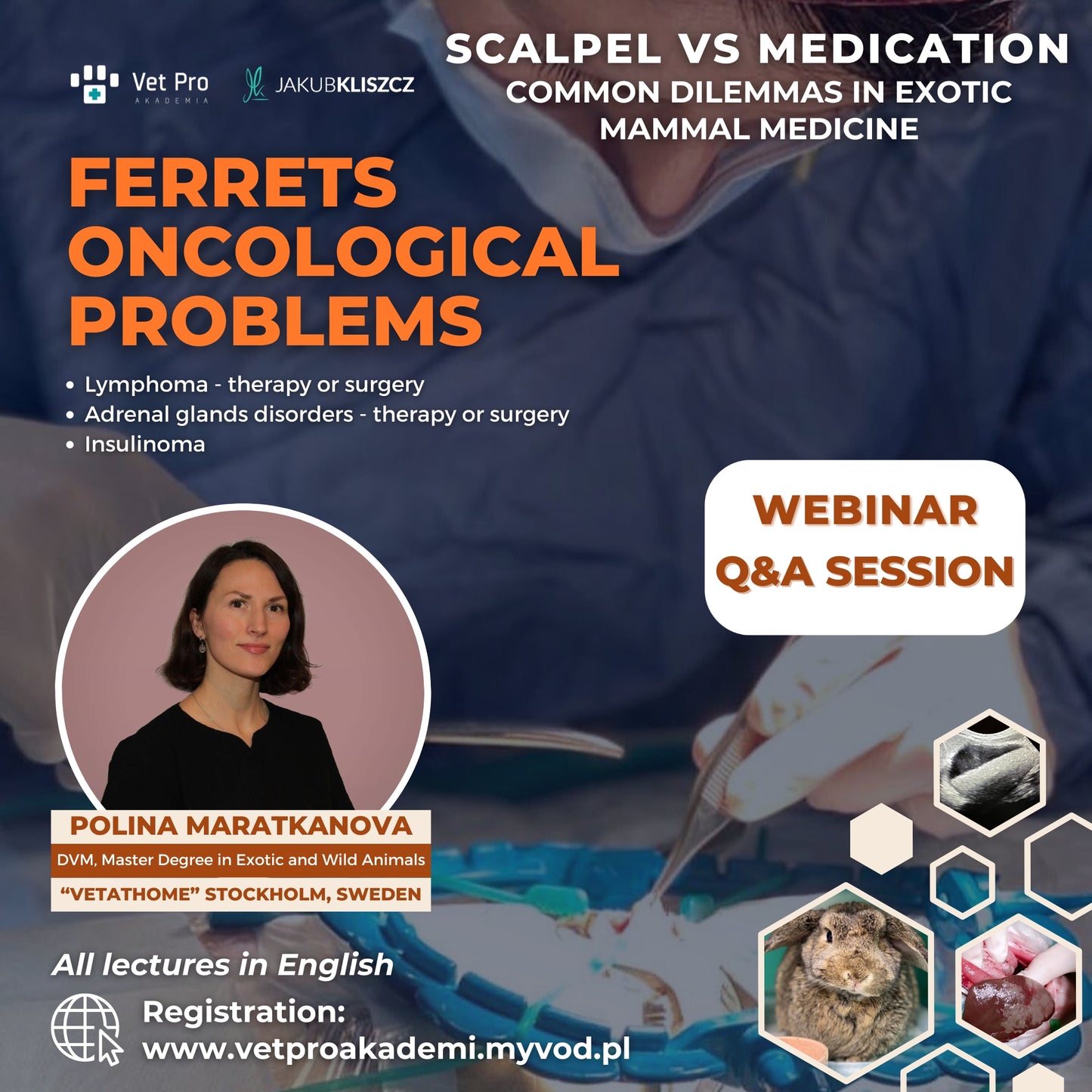 Scalpel vs Medication - Ferrets Oncological Problems