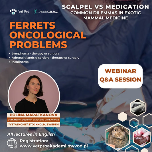 Scalpel vs Medication - Ferrets Oncological Problems