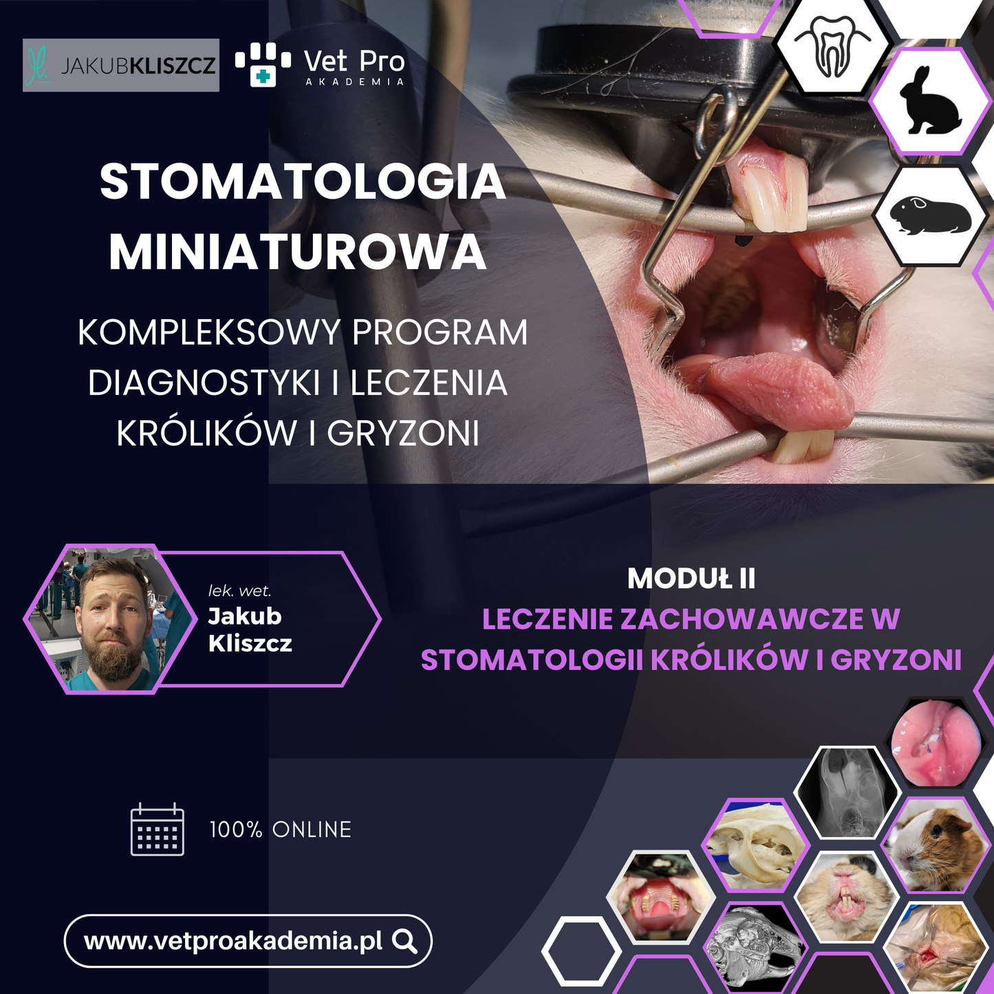 Moduł II – Leczenie Zachowawcze w Stomatologii Królików i Gryzoni