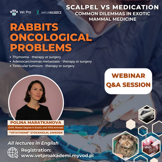 Scalpel vs Medication - Rabbits Oncological Problems