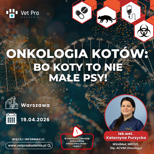 Onkologia Kotów: Bo Koty To Nie Małe Psy!