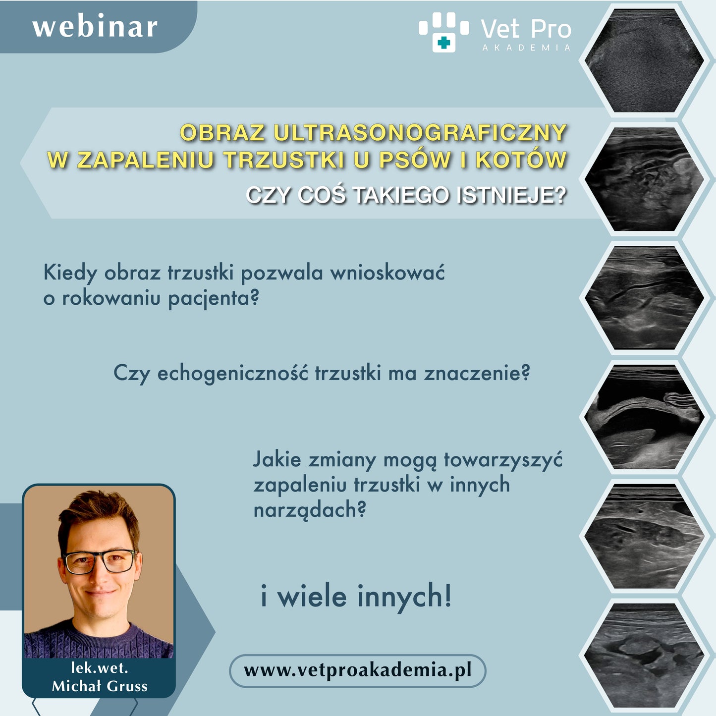 Obraz Ultrasonograficzny w Zapaleniu Trzustki u Psów i Kotów - Czy Coś Takiego Istnieje?