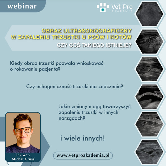 Obraz Ultrasonograficzny w Zapaleniu Trzustki u Psów i Kotów - Czy Coś Takiego Istnieje?
