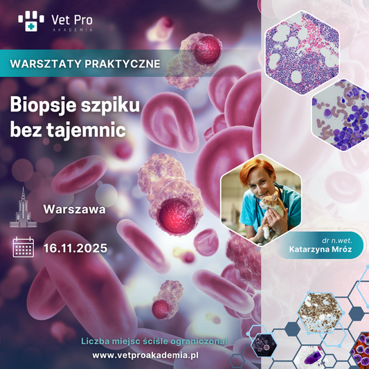 Biopsje szpiku bez tajemnic