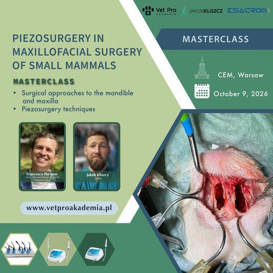 Piezosurgery in Maxillofacial Surgery of Small Mammals