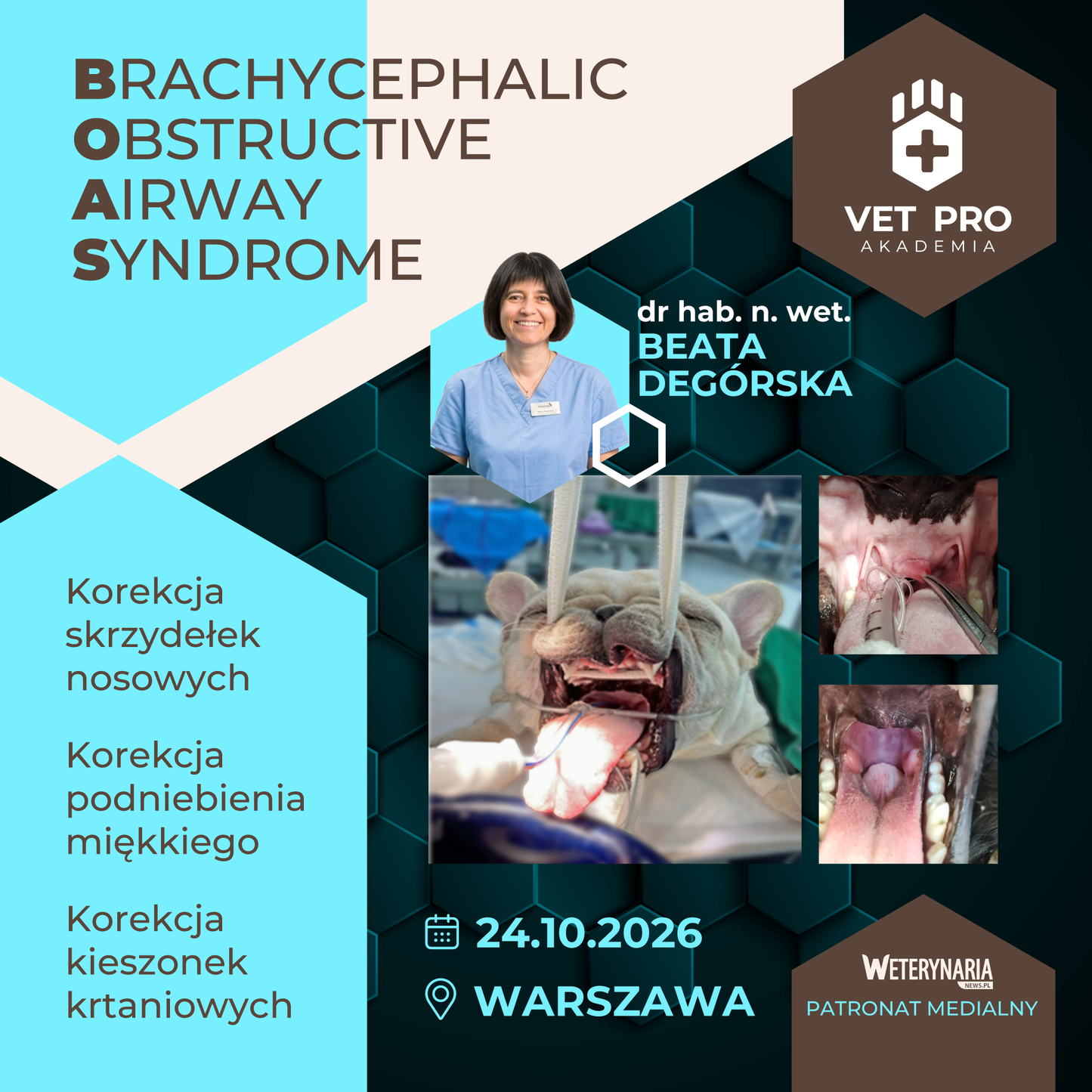 Lateralization of the Laryngeal Arytenoid Cartilage - surgical workshop