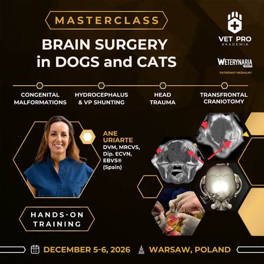Brain Surgery in Dogs and Cats