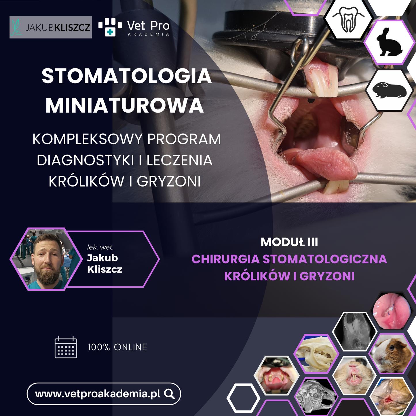 Moduł III – Chirurgia Stomatologiczna Królików i Gryzoni