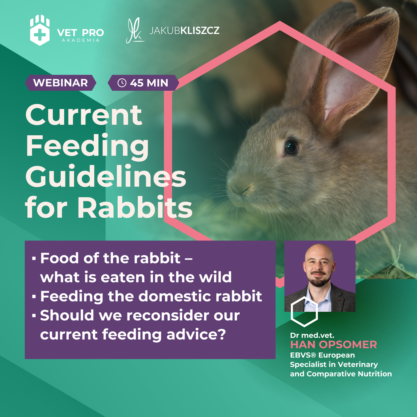 Current guidelines for rabbit nutrition
