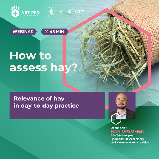 How to assess hay? The importance of hay in daily practice