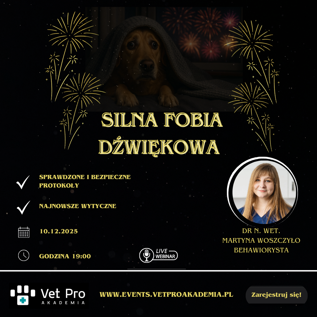 Silna Fobia Dźwiękowa
