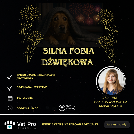 Silna Fobia Dźwiękowa